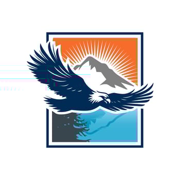The flying eagle logo template. Vector illustration