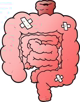 cartoon repaired intestines vector