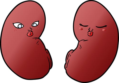 cartoon kidneys characters vector