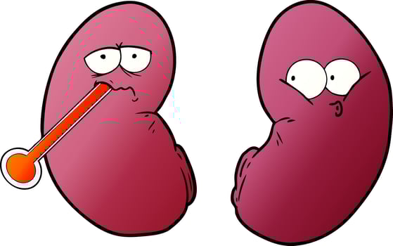 cartoon unhealthy kidney vector