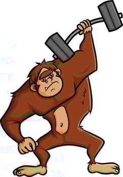 The strong gorilla is lifting weight with one hand vector