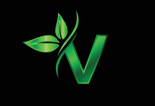 Initial V monogram alphabet with two leaves. Green eco-friendly logo concept. Logo for ecological vector