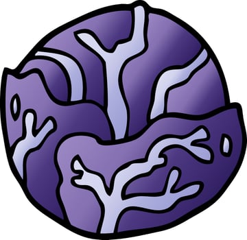 cartoon doodle cabbage vector
