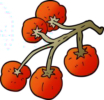 cartoon doodle tomatoes on vine vector