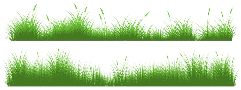 grass field, meadow vector