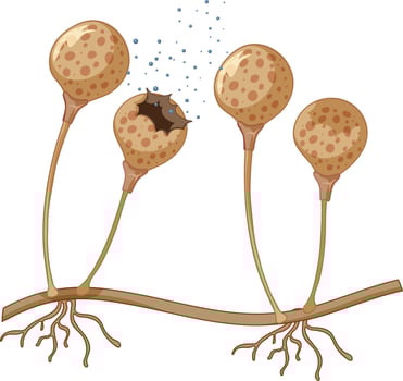 A close up fungus spores vector