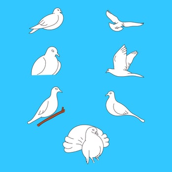 white dove line art illustration on blue background. Beautiful pigeons faith and love symbol. vector