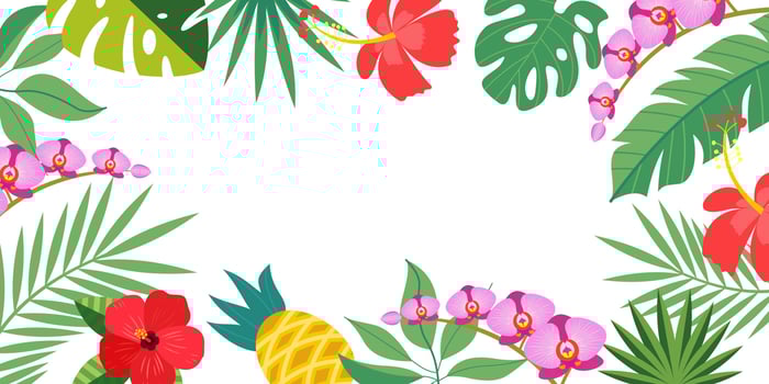 Bright tropical background with empty space for text. Vector illustration.
