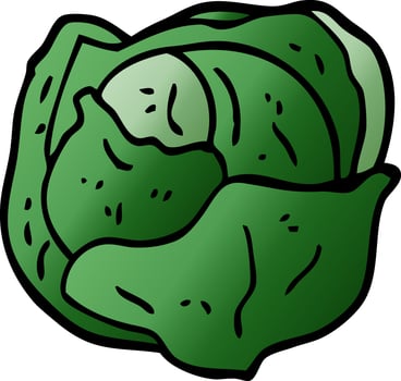 cartoon doodle cabbage vector