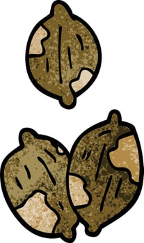 cartoon doodle nuts in shells vector