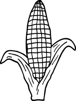line drawing cartoon corn on cob vector
