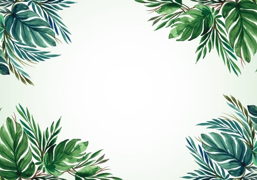 Tropical watercolor leaf bunch nature background vector