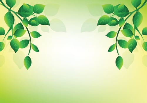 Decorative bunch green leaves background vector