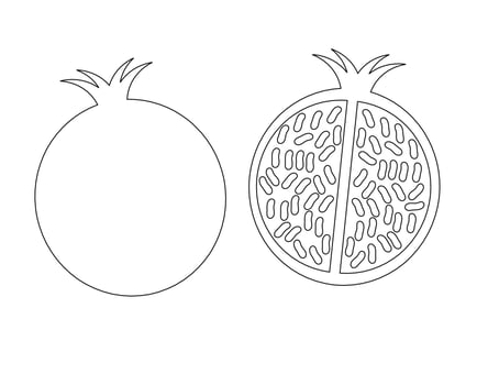 Pomegranate illustration. Pomegranate fruit vector. vector
