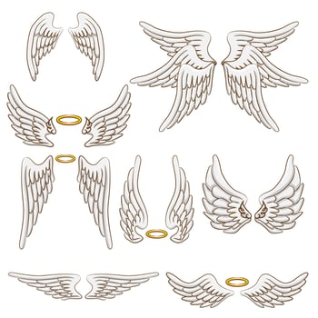 Angel wing vector set graphic design