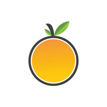 Orange logo Vector