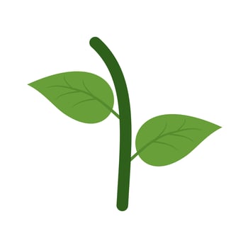 Two Leaves Flat Multicolor Icon vector
