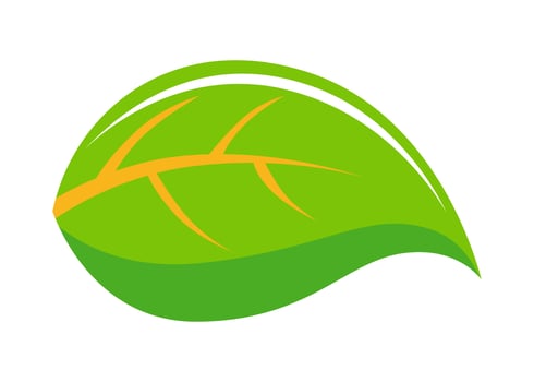 leaf shape icon or symbol design vector
