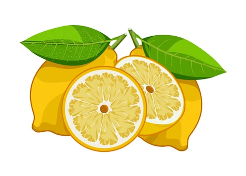 fresh orange shape illustration design vector