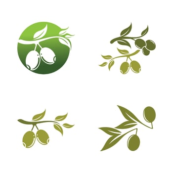 olive icon vector illustration