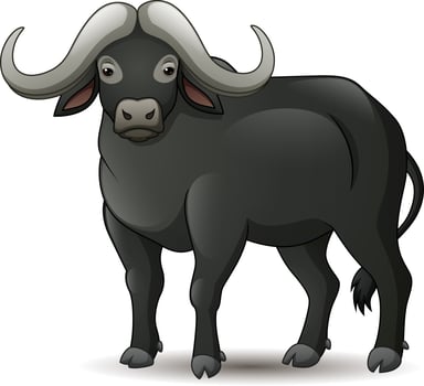 Illustration of African buffalo isolated on white background vector