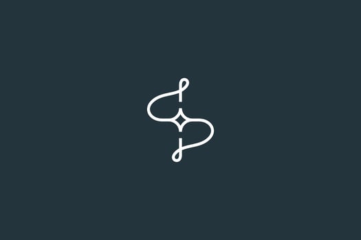 Initial Letter S Luxury and Minimal Logo Design Vector Template