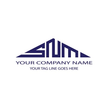 SNM letter logo creative design with vector graphic