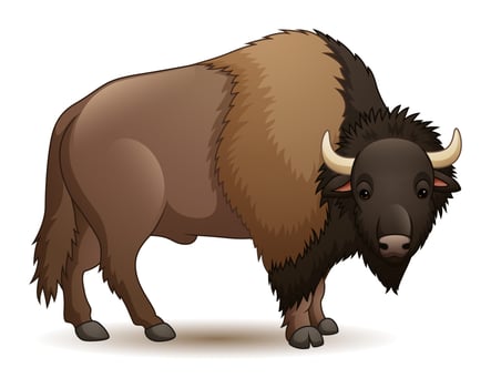 Cartoon bison isolated on white background vector