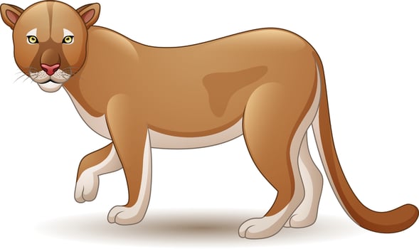 Cartoon puma isolated on white background vector
