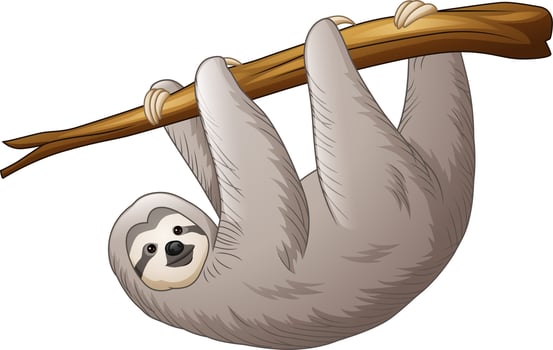 Cartoon sloth isolated on white background vector