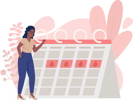 Regular menstrual cycle 2D vector isolated illustration