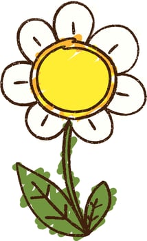 Flower Chalk Drawing vector