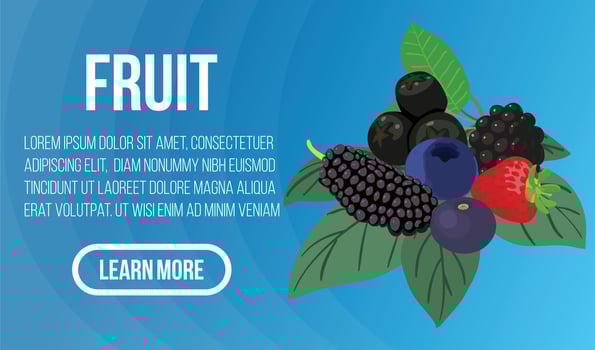 Fruit concept banner, isometric style vector
