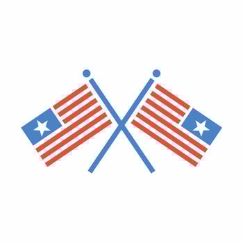 USA Flags Crossed Icon Flat Style vector