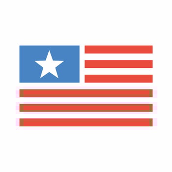 USA Flag Icon Flat Style vector