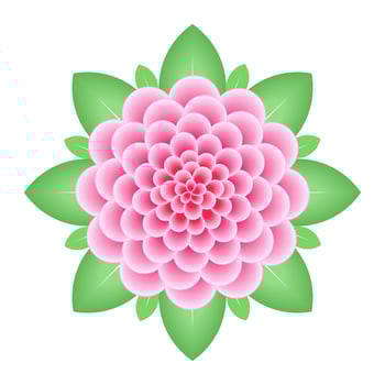 Pink dahlia flower isolated on white background. vector
