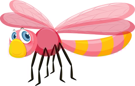 Cute dragonfly isolated on white background vector