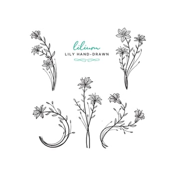 Hand drawn floral vector