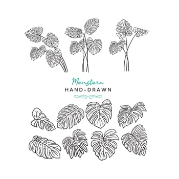 Hand drawn floral vector