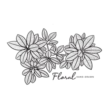 Hand drawn floral vector