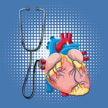 Human internal organ with heart vector