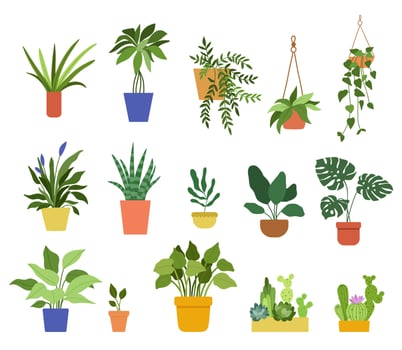 Hand drawn house plants in pots. Set of vector illustrations in flat style isolated on white background
