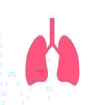 Human lungs vector icon.