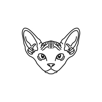 Sphynx Cat Sketch Black White illustration logo vector