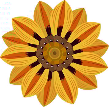 Yellow gazania flower vector art for graphic design and decorative element