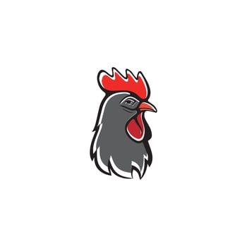 Rooster Logo Template vector