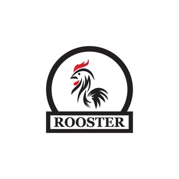 Rooster Logo Template vector
