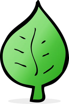 cartoon leaf symbol vector