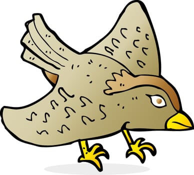 cartoon garden bird vector