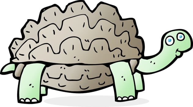doodle character cartoon tortoise vector